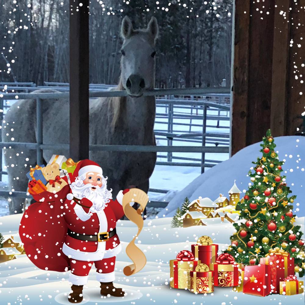 Meet your Posher, Marsha